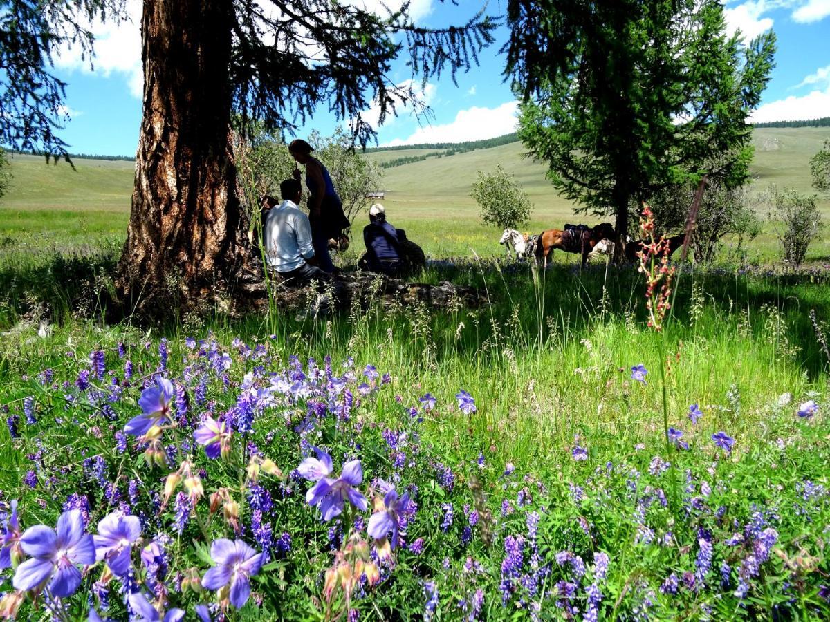 Top Tour & Guesthouse Mongolia Уланбатар Екстериор снимка